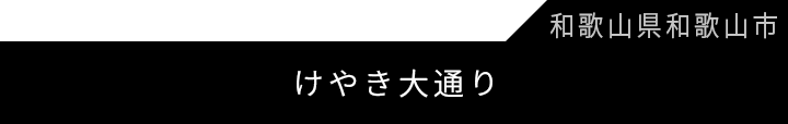 和けやき大通り第一種市街地再開発事業「けやきガーデン」