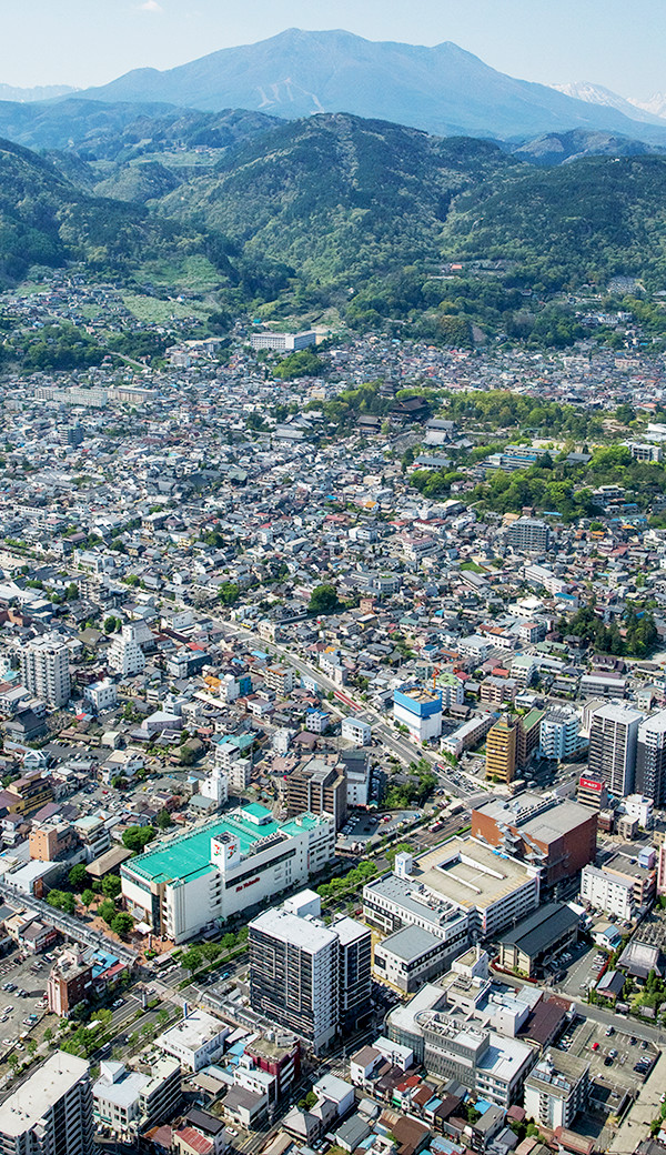 航空写真（2015年3月撮影）